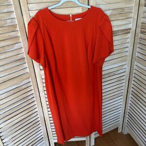 Calvin Klein Shift Dress w/Petal Sleeve